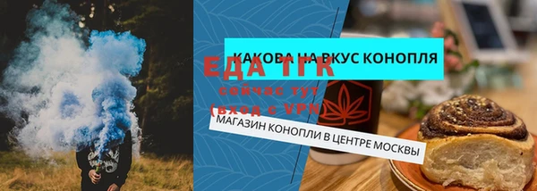 синтетический гашиш Заводоуковск