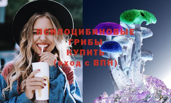 синтетический гашиш Заводоуковск