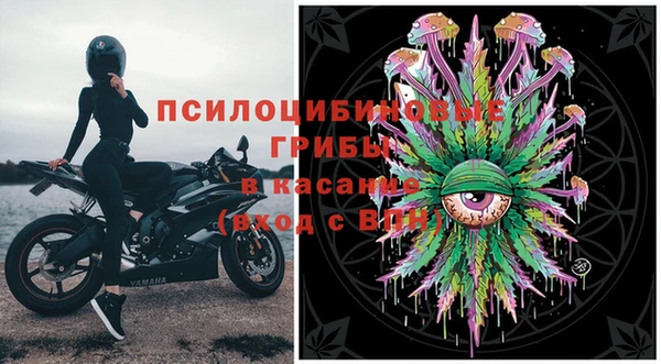 альфа пвп Заволжск