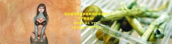 синтетический гашиш Заводоуковск