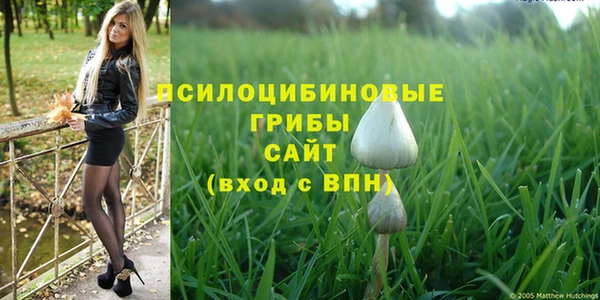 альфа пвп Заволжск