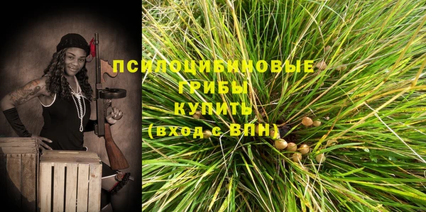альфа пвп Заволжск