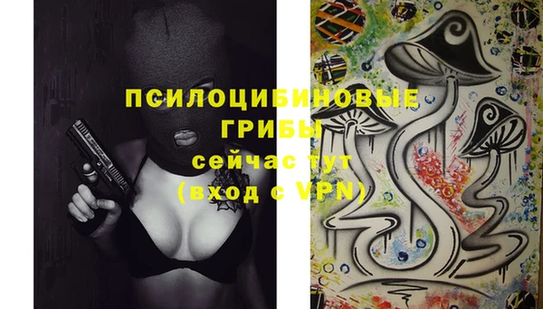 синтетический гашиш Заводоуковск