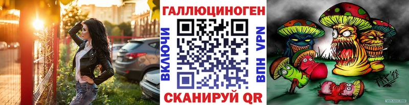 Купить закладки  Шелехов  Псилоцибиновые грибы Cubensis 